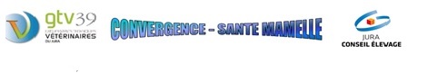 logo Convergence santé mamelle